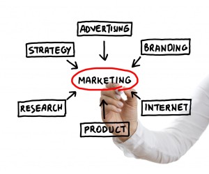 Small Business Marketing Consultant